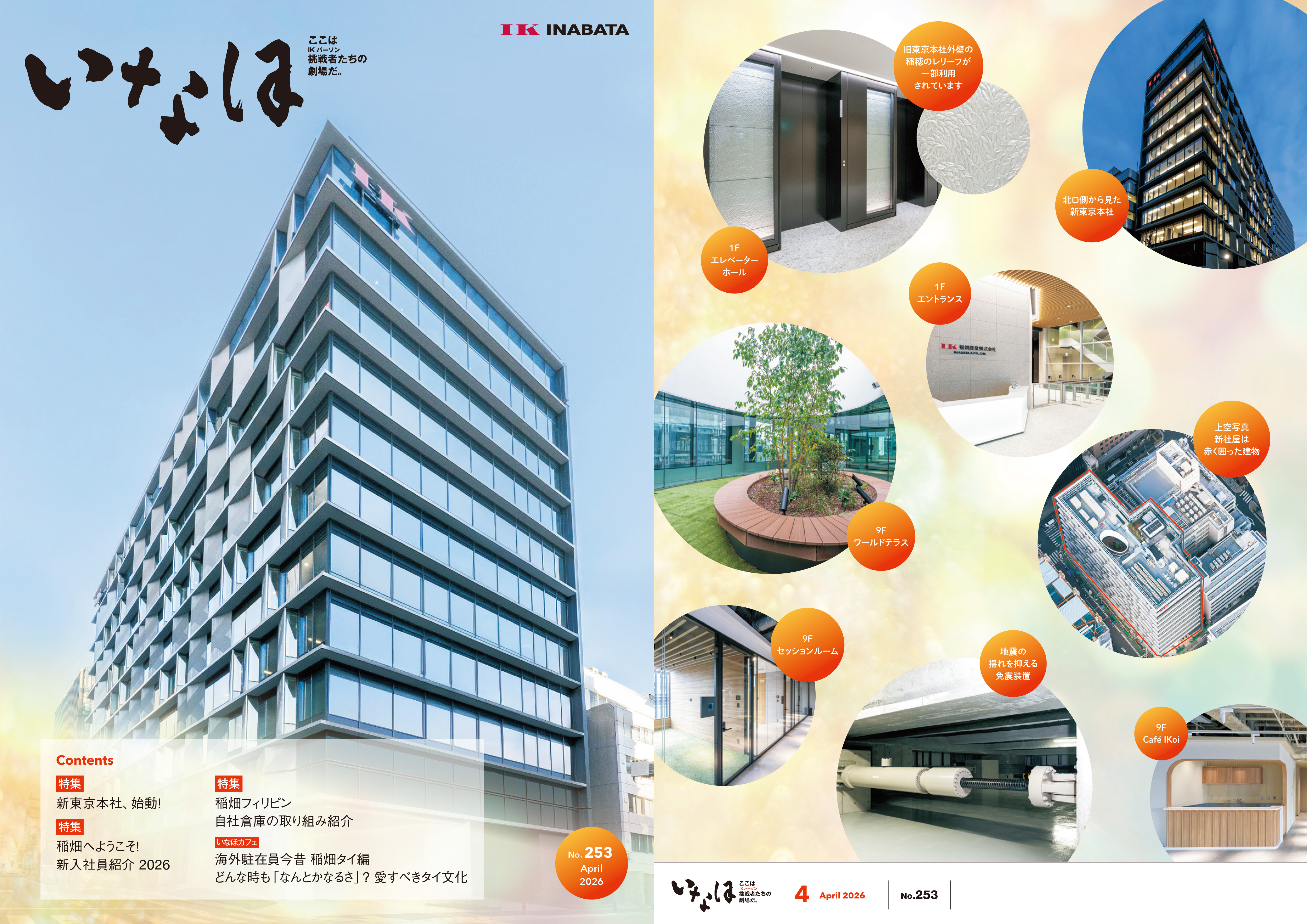 稻穗251号