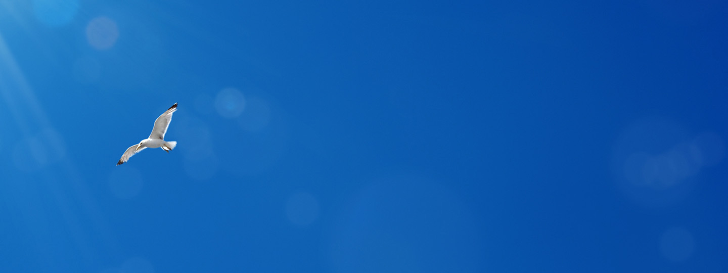 熊猫比分网経営计画