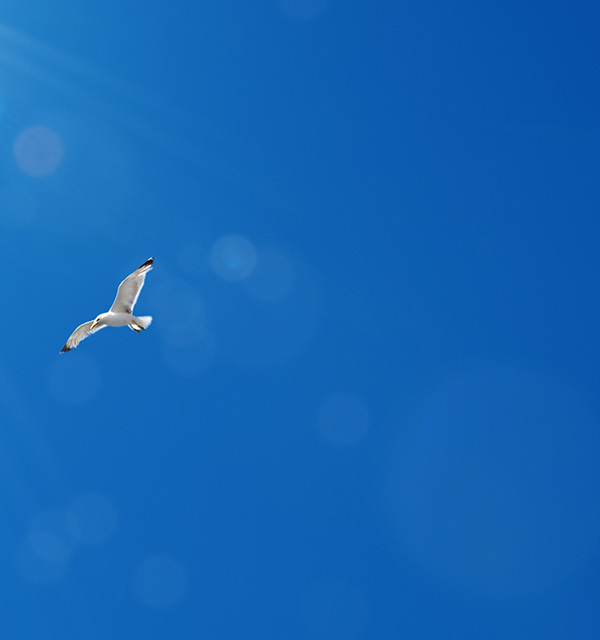 熊猫比分网管理计划